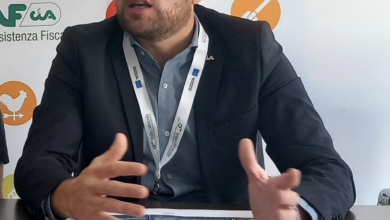 Photo of Foggia, olivicoltura, bilancio positivo per il 2023