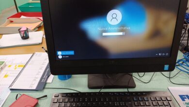 Photo of Sedotti ed abbandonati dal Ministero dell’Istruzione e del Merito