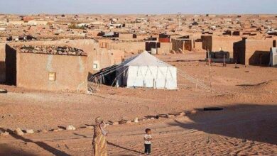 Photo of Il Movimento Saharawi per la Pace (MSP) denuncia la pedofilia che ha colpito i bambini Saharawi nel programma “Piccoli Ambasciatori di Pace” in Europa