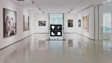 Photo of Catania: Culturatela vince appalto biglietteria elettronica città