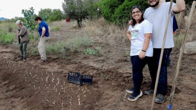 Photo of Tortolì: crowdfunding per Experience Nature tenute Il Maggese