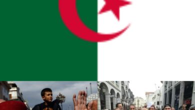 Photo of Algeria fallita e cerca di accusare gli Emirati Arabi Uniti