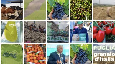 Photo of Agricoltura, la Puglia in un anno ha perso 2.233 imprese