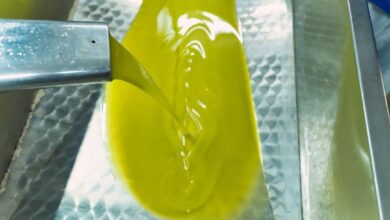 Photo of Vico, l’olio e la scommessa del cibo-medicina