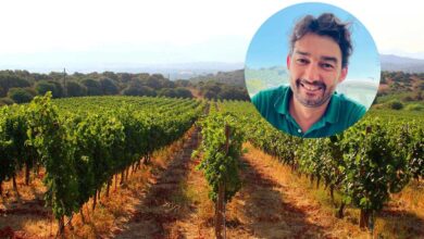 Photo of Olbia, l’enologo Andrea Pala: “Il Vermentino di Gallura è il re dei vini dell’estate 2023