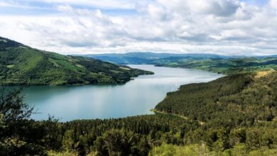 Photo of Tra Puglia e Molise la meraviglia del Lago di Occhito: un patto per valorizzarlo