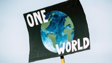 Photo of Cambiamento climatico: strategie per un futuro sostenibile