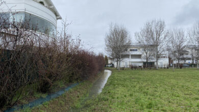 Photo of Modena, un ecovillaggio resiste ai nubifragi