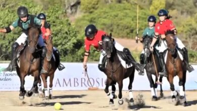 Photo of Polo: la squadra sarda passa dai pony ai cavalli con un clinic a Roma tenuto da Pato Rattagan