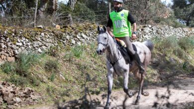 Photo of Bulteri Endurance: successi di Nonne Mulas e Mallei