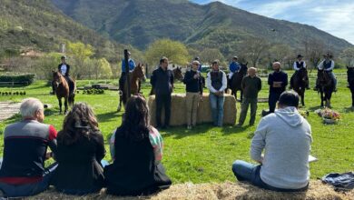 Photo of Cantiano Fiera Cavalli, svelato il programma: grandi ospiti dal mondo dell’equitazione e tante attività outdoor