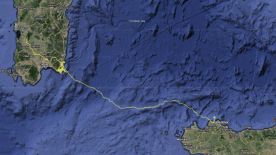 Photo of LIFE Safe for Vultures, registrato il primo spostamento di un grifone dalla Sardegna alla Sicilia