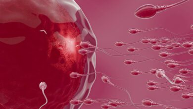Photo of Catania, al Policlinico convegno il 3 e 4 maggio sugli orizzonti della fertilità
