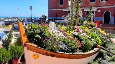 Photo of Laigueglia vince la seconda edizione di “Borghi in fiore”, il contest social promosso dalla Regione