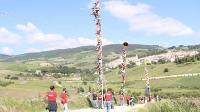 Photo of Pietramontecorvino, la processione dei pali