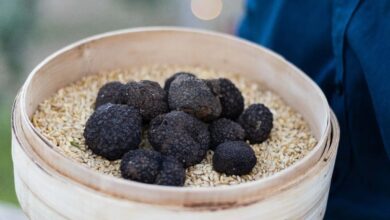Photo of Giurdignano, festa del tartufo. Il programma