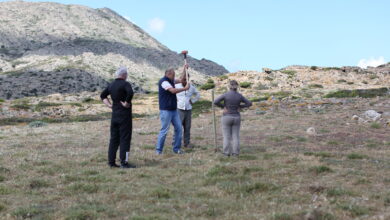 Photo of LIFE Safe for Vultures, all’Asinara il primo carnaio aziendale mai realizzato in Italia all’interno di un Parco nazionale
