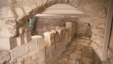 Photo of Cagliari, al liceo “Siotto Pintor” conferenza dell’archeologa Donatella Mureddu e dell’antropologa Rosalba Floris su tre siti archeologici quasi nascosti nel tessuto urbano
