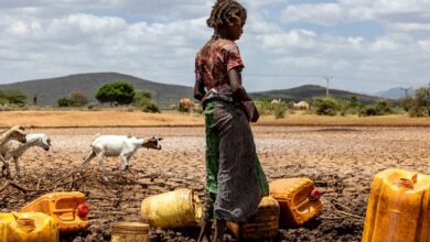 Photo of Emergenza siccità da Etiopia a Sicilia. Cesvi: Shock climatici sempre più massicci