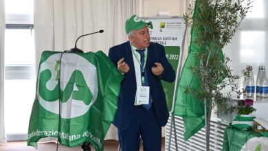 Photo of Cia Puglia: “Il Governo non oscuri Granaio Italia dal D.L. Agricoltura”