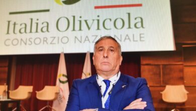 Photo of Puglia protagonista agli Stati Generali dell’Olio e al Consiglio Oleicolo