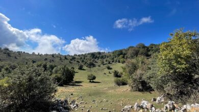 Photo of Castelbuono, escursione da Monticelli al Pagliaio di Piano Noce promossa da BCsicilia