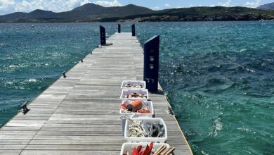 Photo of Golfo Aranci, Paltrinieri e Acerenza presentano la tappa di Coppa del Mondo