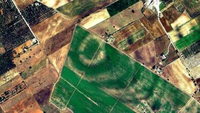 Photo of Salviamo l’ “ATLANTIDE SALENTINA”: Stop al mega fotovoltaico che minaccia di distruggere l’importante sito protostorico degli “Anelli di Arneo” e la via romana Traiana Sallentina