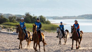 Photo of Sardegna, sport equestri: l’agenzia regionale Asvi è ancora bloccata, a rischio l’Internazionale di Endurance