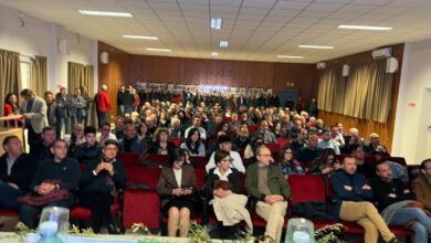 Photo of Bitonto, per la OP Oliveti Terra di Bari fatturato raddoppiato in un anno