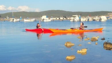 Photo of Alghero, il Dragon Rosa a Porto Conte