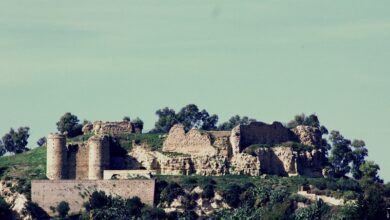 Photo of Giornate Europee dell’Archeologia. BCsicilia propone 19 appuntamenti: visite guidate, escursioni, conferenze, presentazioni di libri.