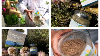 Photo of Alpi Liguri: inizia la raccolta degli ingredienti de Il sale della Liguria