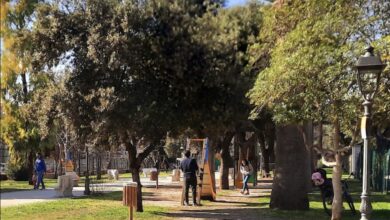 Photo of Foggia, De Vito (Pd): “Piano dei parchi giochi per spazi adeguati a bambini e famiglie”