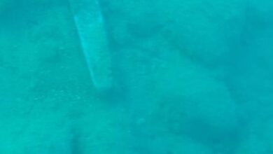 Photo of Agrigento Recuperati in mare i reperti archeologici segnalati dal Gruppo Subacqueo di BCsicilia