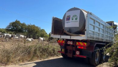 Photo of Siccità, CIA Puglia: “Bene la Regione per la BAT, agricoltura a rischio estinzione”