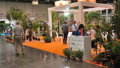 Photo of  Saonara, cresce l’export del florovivaismo veneto. Il distretto florovivaistico di Saonara lo rappresenta a Flormart 2024