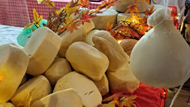 Photo of Roncofreddo, piccola fiera d’autunno. Come partecipare