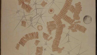 Photo of Torino, presentazione del progetto “ART IN MED – L’Arte nella divulgazione delle Scienze Mediche”