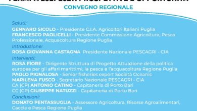 Photo of Bari, pesca e acquacoltura, le opportunità per la blu-economy in Puglia con il FEAMPA