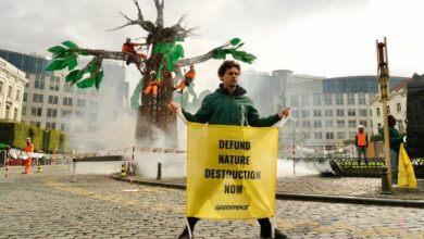 Photo of Bruxelles, Greenpeace installa un grande albero davanti al Parlamento europeo