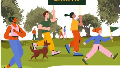 Photo of Carlantino: camminata tra gli olivi . Domenica di trekking e degustazioni