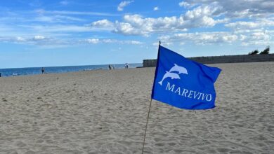 Photo of Catania, educazione ambientale: Marevivo, venerdì Blue day con i dipendenti Sibeg