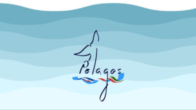 Photo of Mentone, gli accordi Ramoge e Pelagos: insieme in favore della preservazione dell’ambiente marino