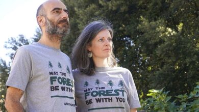 Photo of Greenpeace lancia la campagna di Natale Salviamo le foreste