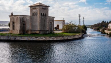 Photo of Cagliari, il 24 novembre nel Parco di Molentargius c’è “Voyage. I luoghi e la musica alla scoperta della Sardegna”