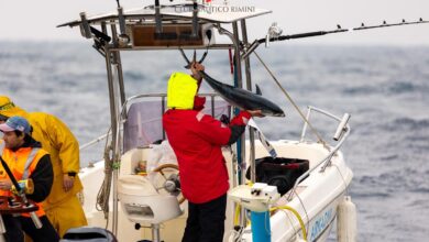 Photo of Rimini, a vincere il prestigioso trofeo di pesca sportiva è stato Giordano Pecci