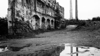 Photo of Torino, Riccardo Costantini Contemporary presenta “Presente Remoto” di Giovanni Maria Sacco