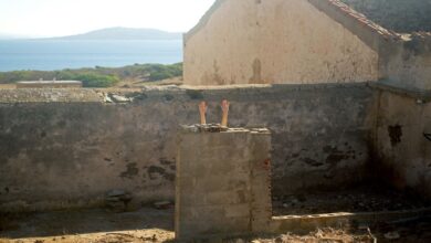 Photo of Porto Torres, WAAB Asinara Review arriva al Museo del Porto 