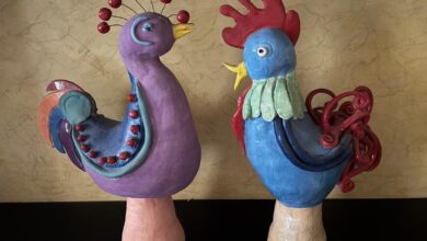 Photo of Savona, Vetrine d’artiste per Bper Banca